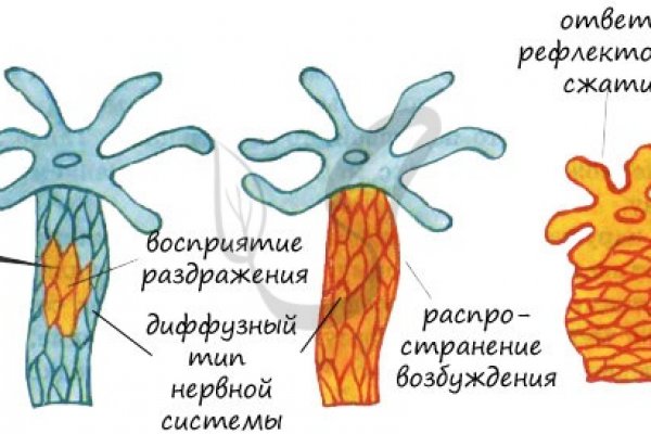 Кракен рабочая ссылка